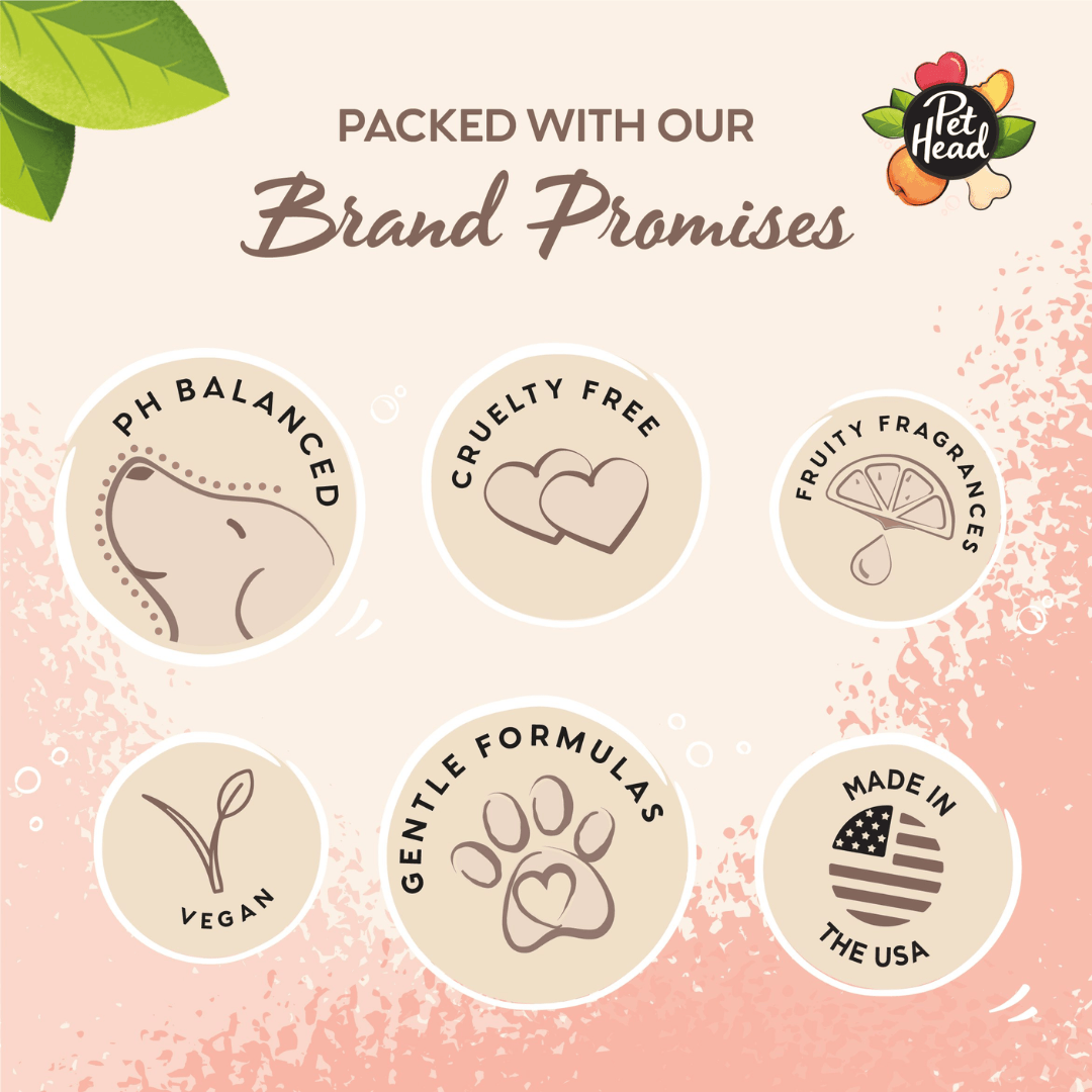 Pethead product packaging with brand promises including PH balanced, cruelty free, fruity fragrances, vegan, gentle formulas, and made in the USA on a pink background.