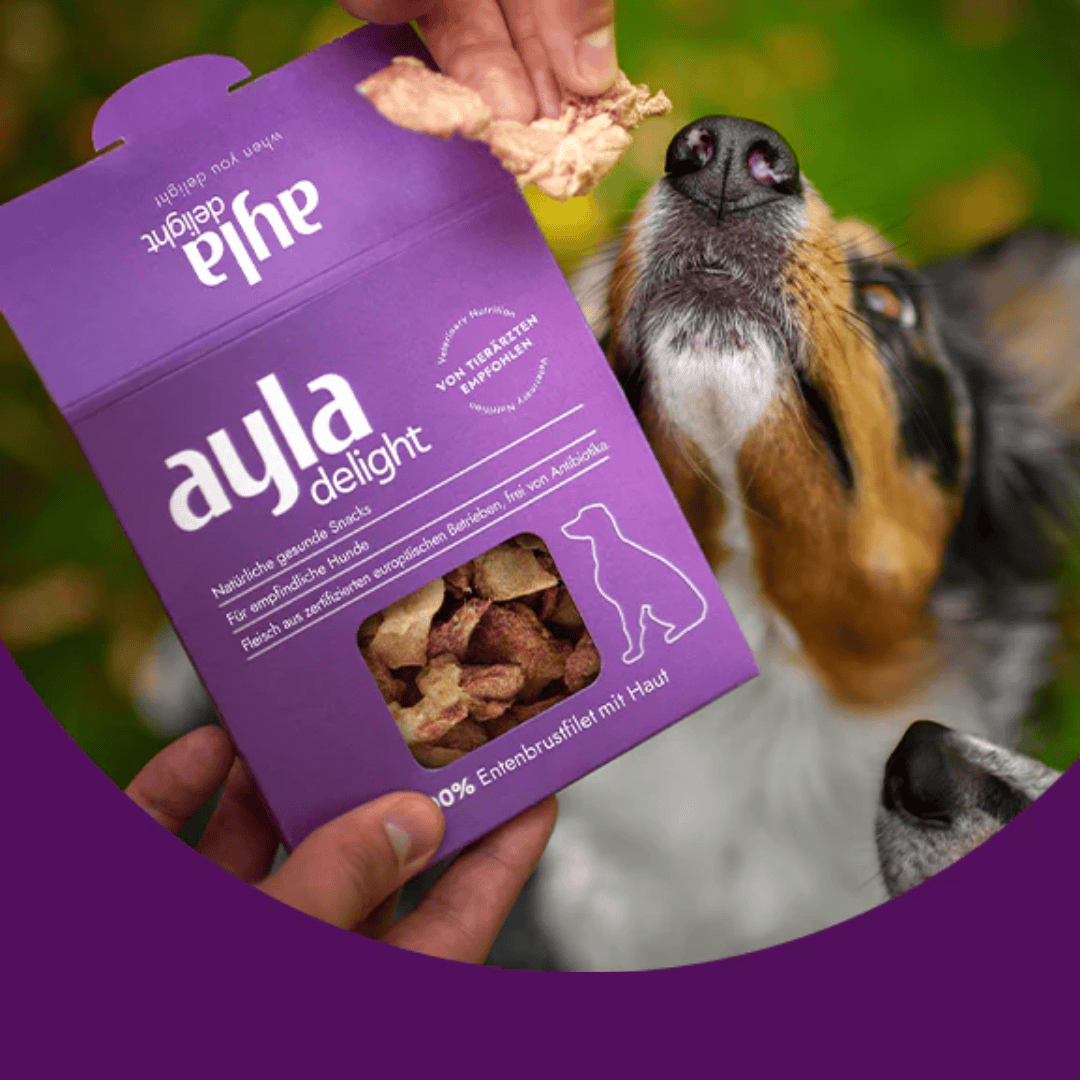 Purple 'ayla delight' pet food package with a dog sniffing at it
