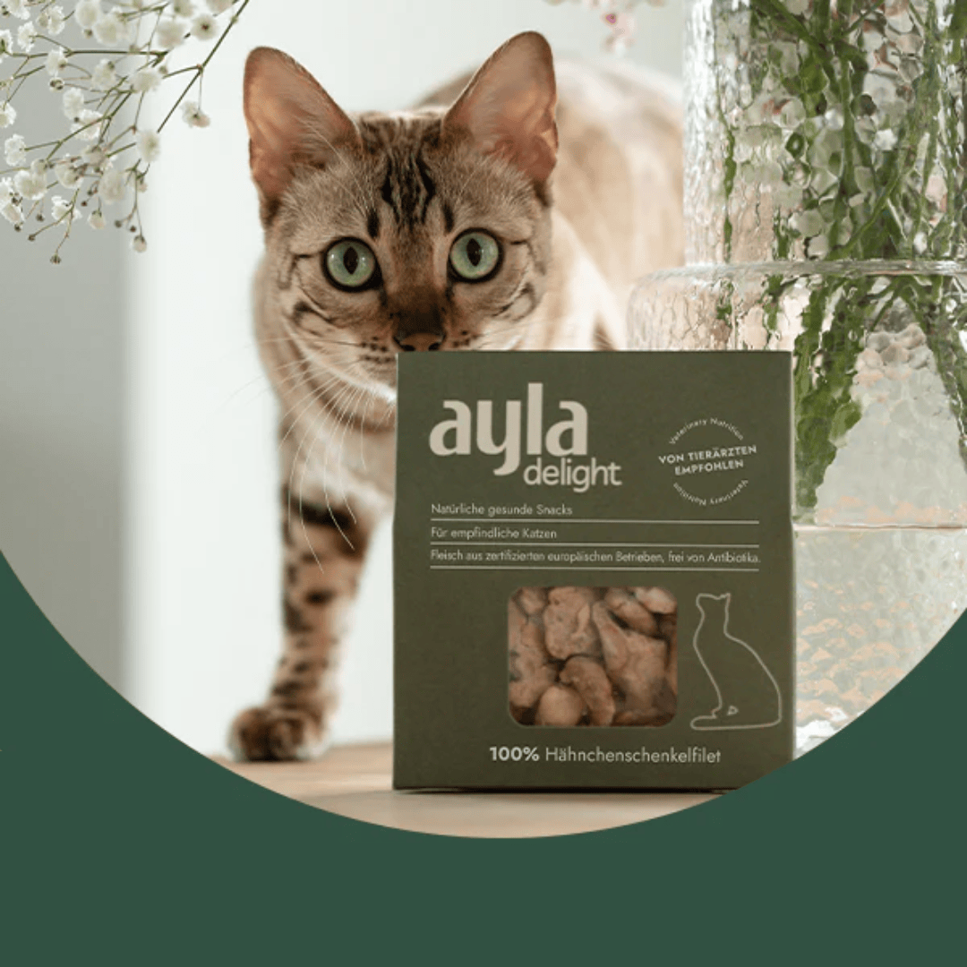 Cat standing next to a box of 'ayla delight' cat treats with flowers in the background