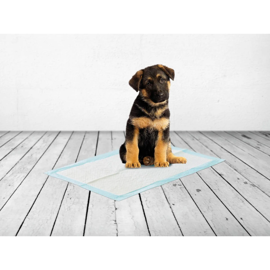 Savic Puppy Training Pads