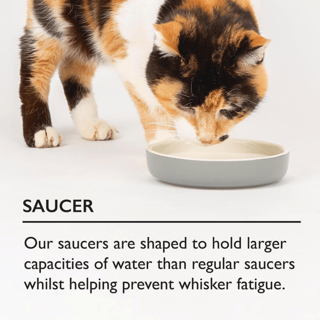 Scruffs Classic Grey Pet Food Saucer 13cm. There is a cat drinking from it. Underneath there is a description on how this product prevents whisker fatigue.