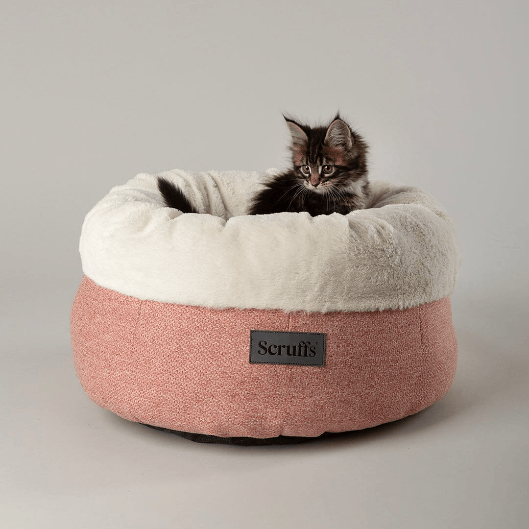 Scruffs Seattle Deep Cat Bed in a Coral pink, and white plush colour scheme. There is a small multi coloured, Kitten inside