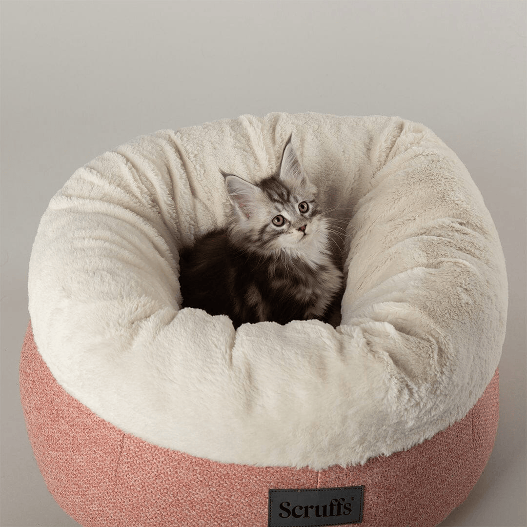 Multi coloured kitten sitting inside the scruffs Seattle Sanctuary Deep Round Cat Bed in coral pink