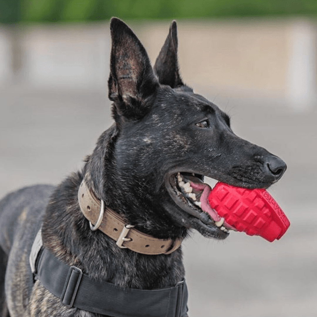 Sodapup Grenade Treat Dispenser - No Rope