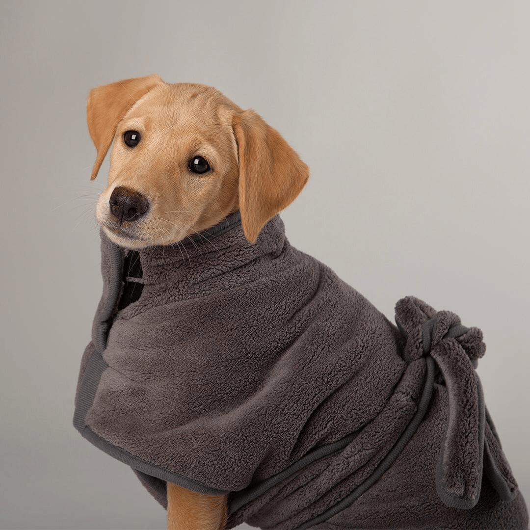 Dog wrapped in a grey microfibre robe towel against a gray background