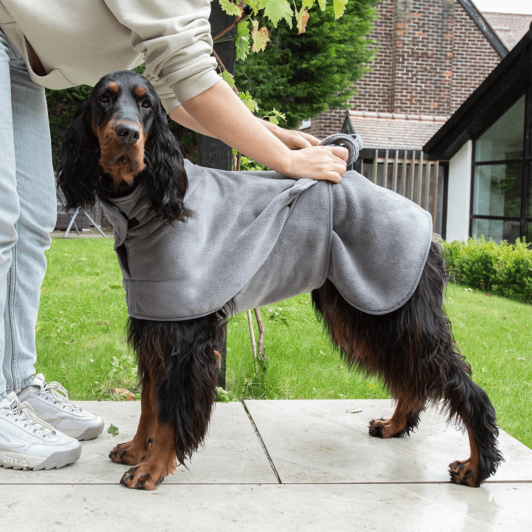 Scruffs Expedition Microfibre Dog Drying Coat
