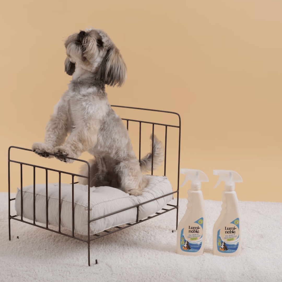 Lumi-Noble Odor & Stain Remover