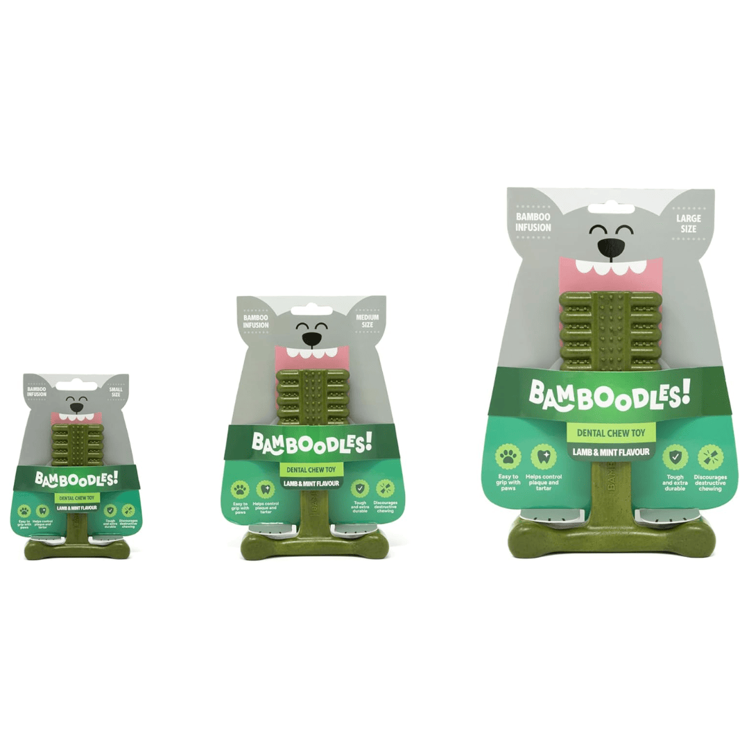 Bamboodles T-Bone Dog Chew - Mint