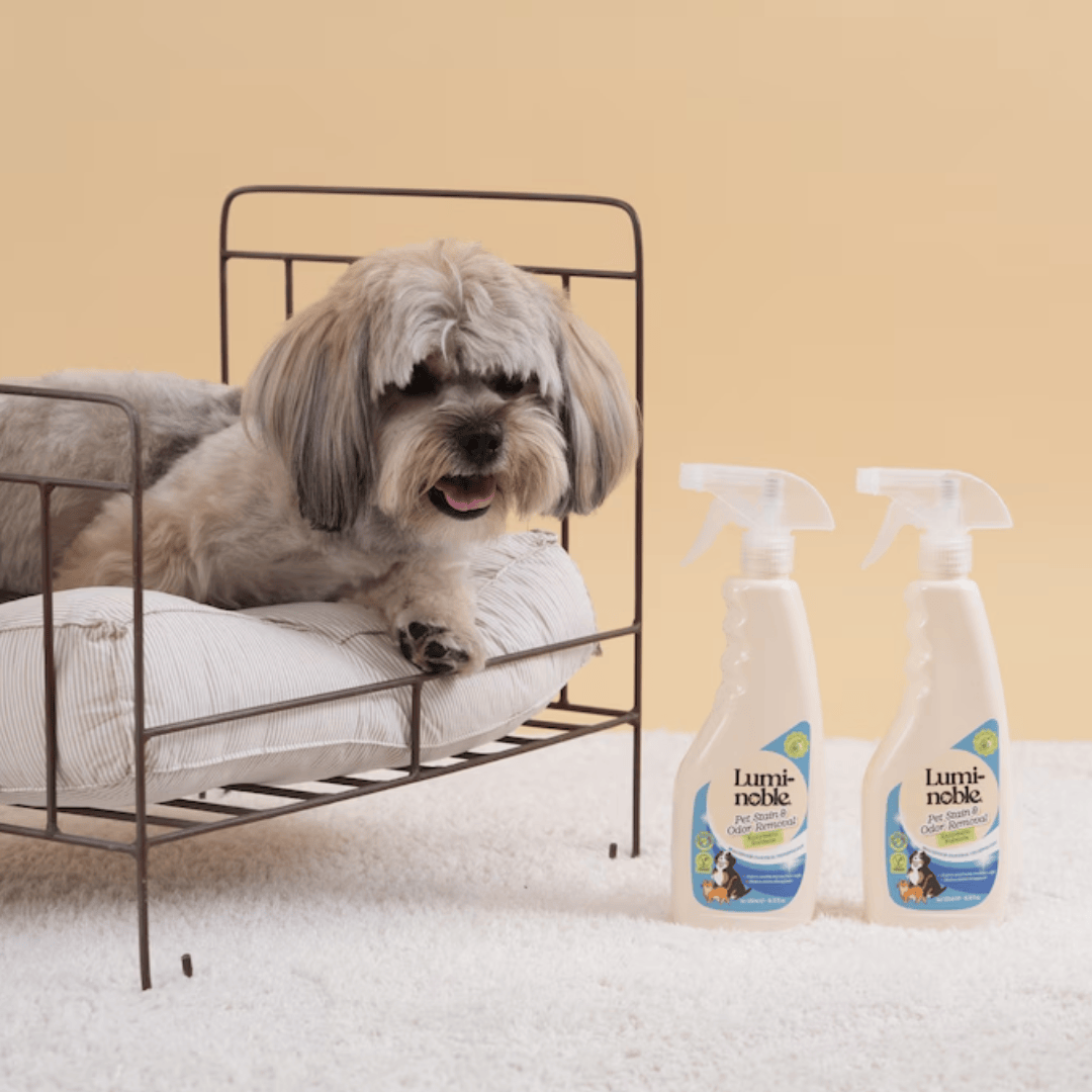 Lumi-Noble Odor & Stain Remover