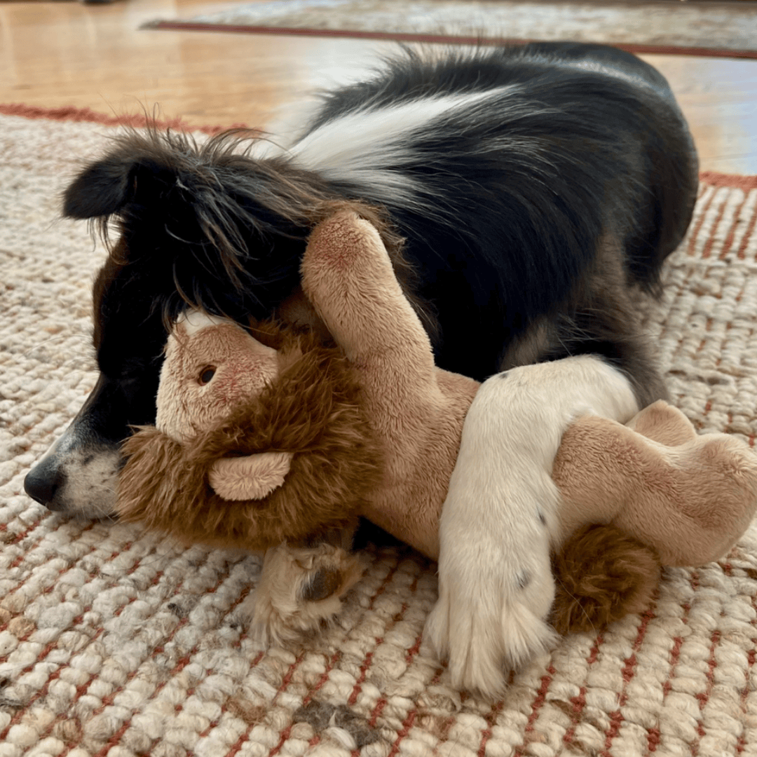Fluff & Tuff Leo Lion Plush Dog Toy