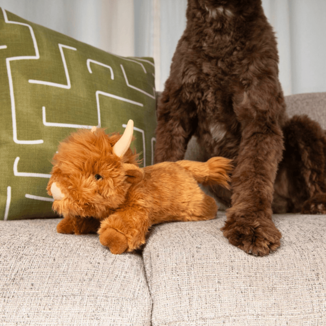 Brown dog standing next to a Fluff & Tuff Shaggy Highland plush toy cow on a couch with a green pillow in the background.