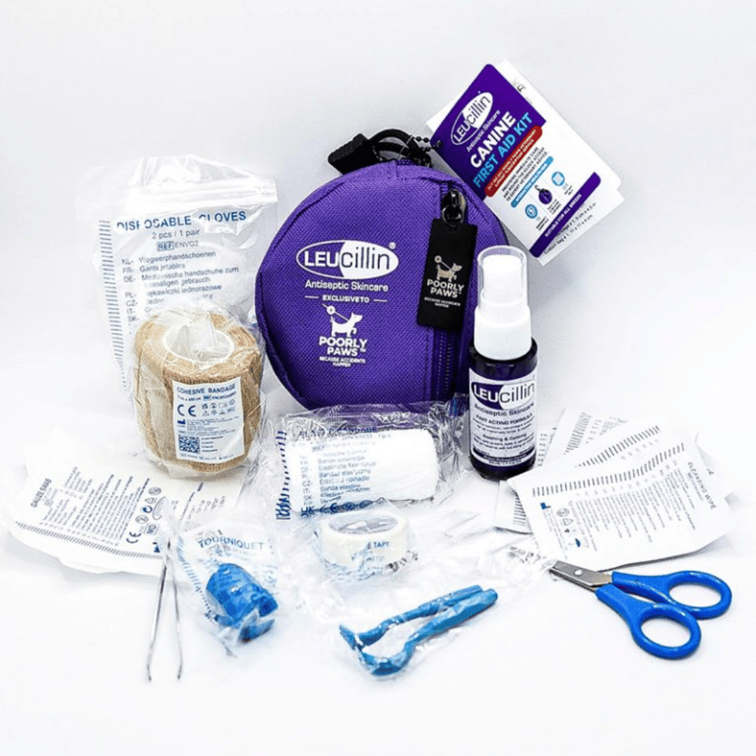 Leucillin First Aid Kit