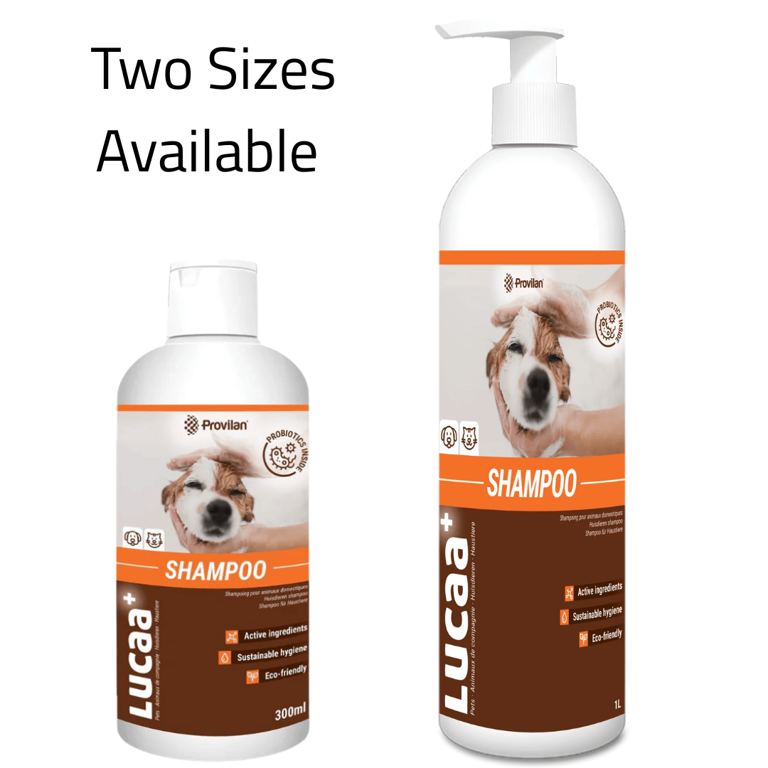 Probiotic Pet Shampoo | Provilan Lucaa+