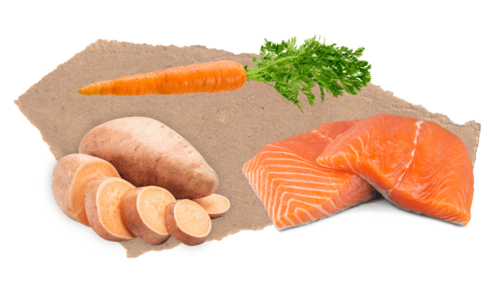 Nourish Rite Grain Free Large Breed Puppy Food - Salmon