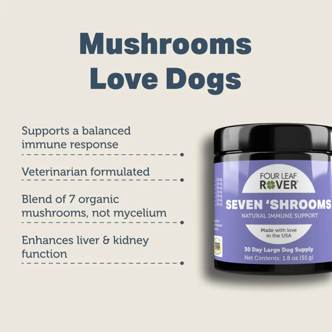 The key benefits of the Four Leaf Rover - Immunity Seven Shrooms