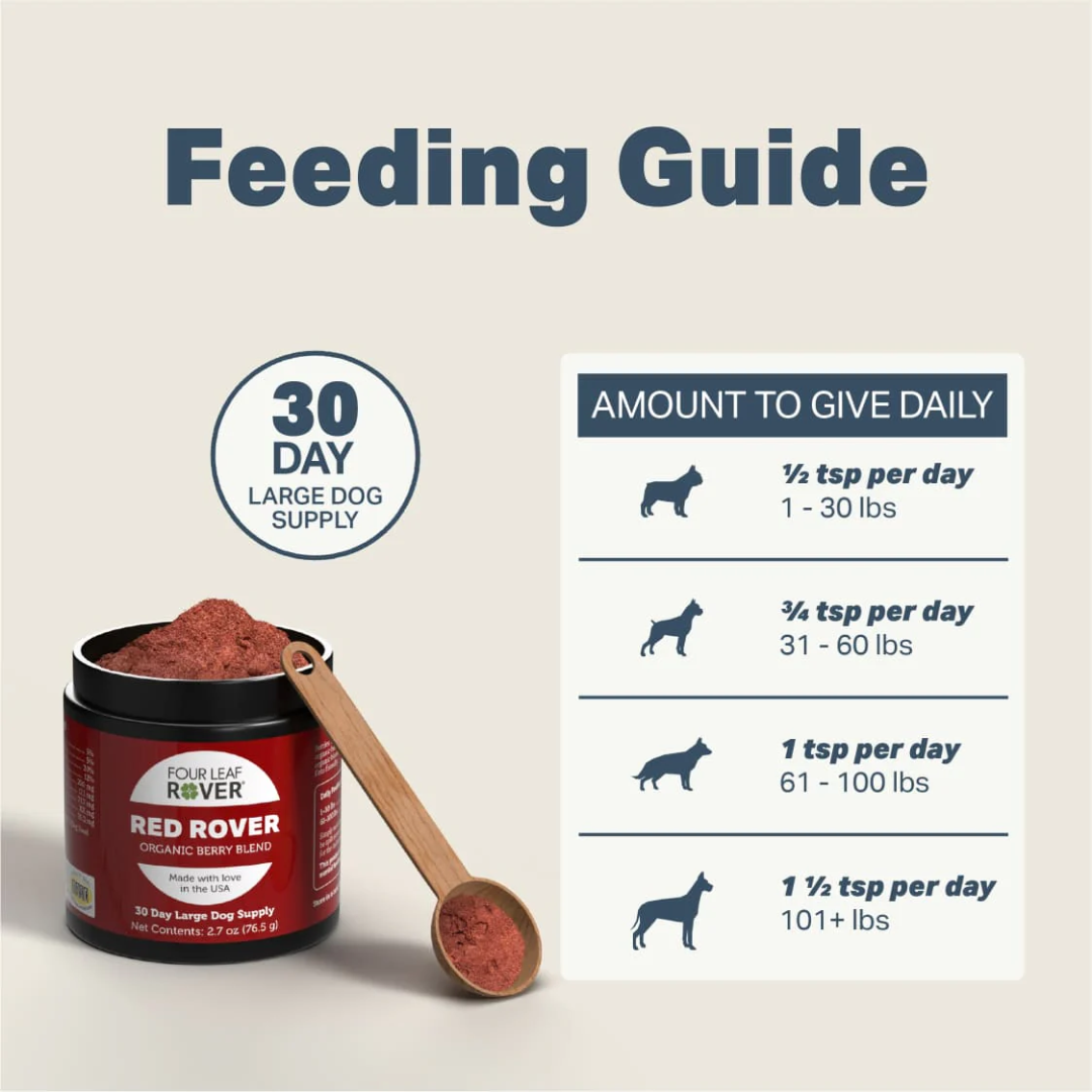 The daily dosage guideline for the Four Leaf Rover Red Rover - Organic Berry Blend 76.5g