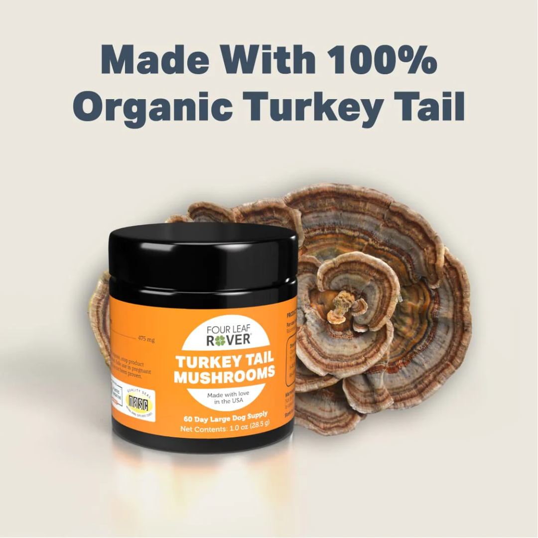 Four Leaf Rover - Turkey Tail Mushroom for Dogs 28.5g and a fresh Turkey Tail Mushrooms photographed here. Text saying "Made with 100% organic Turkey Tail" is above