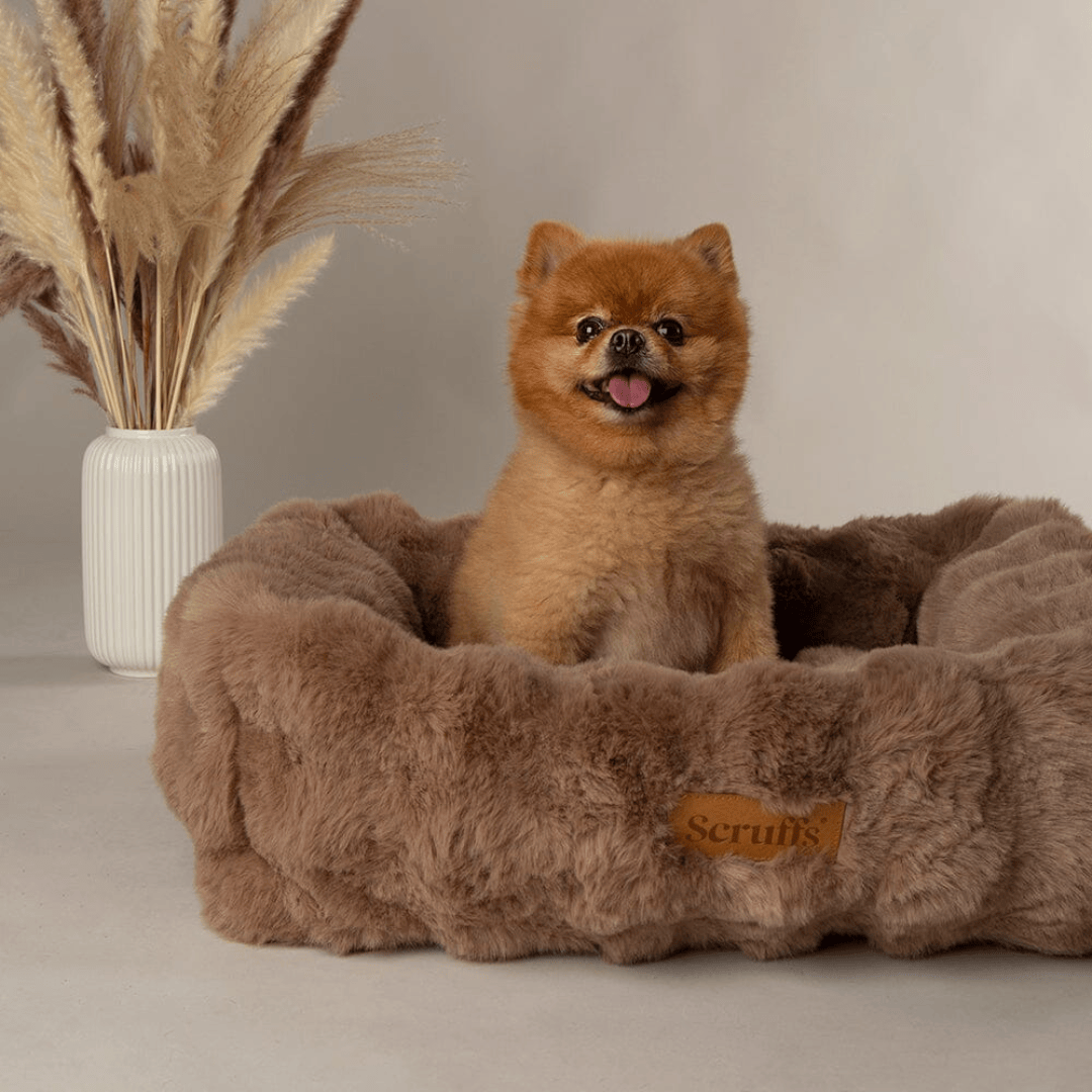 Scruffs Alpine Box Bed