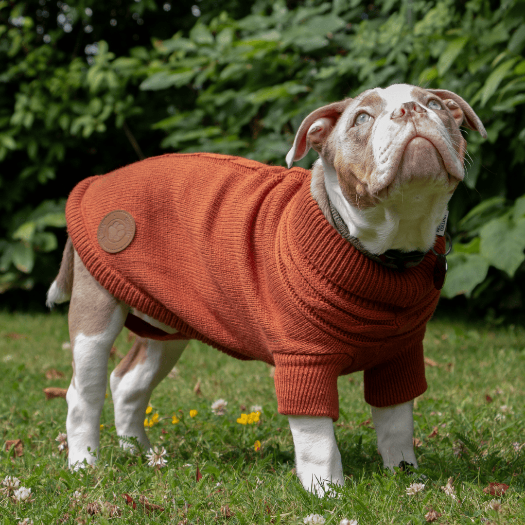Ancol Cable Knit Jumper Terracotta