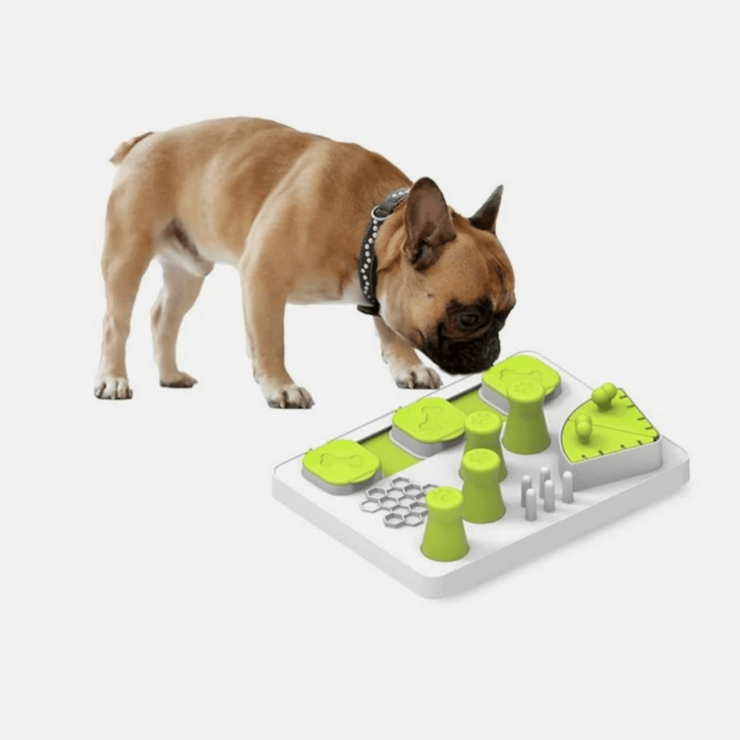 Dog interacting with a puzzle slow feeder toy on a white background