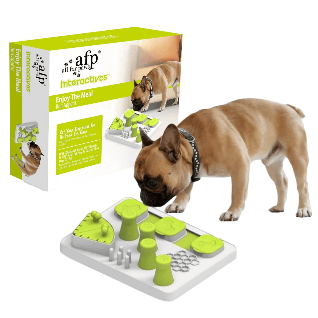 Dog puzzle toy with green and gray design, next to its packaging featuring a dog and the brand 'all for paws'.