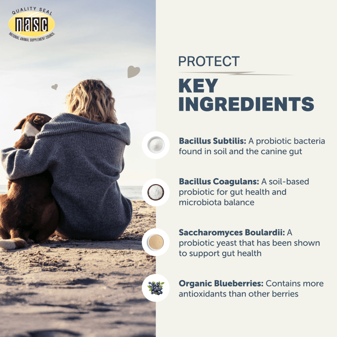 Four Leaf Rover - Protect - Soil Based Pro & Prebiotics