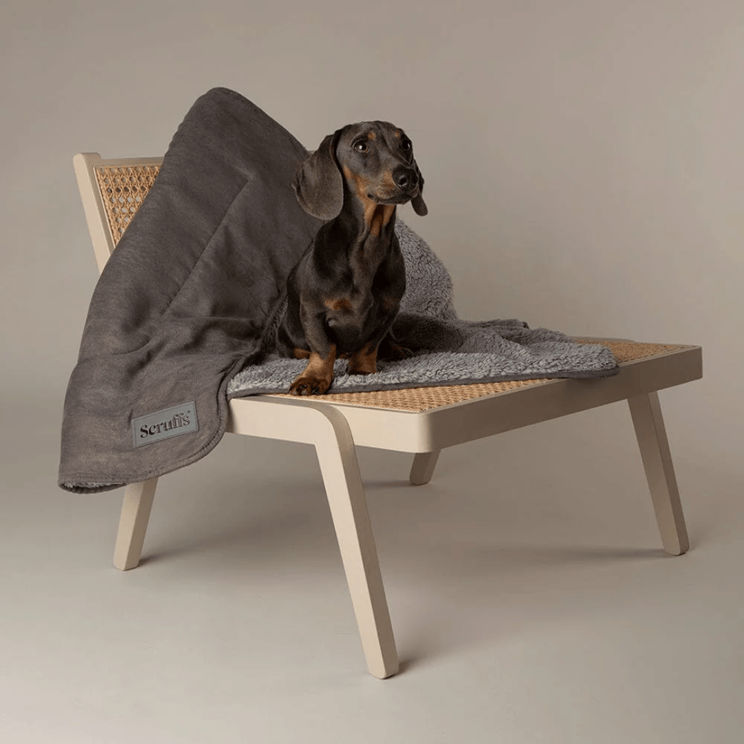 Scruffs Snuggle Pet Blanket