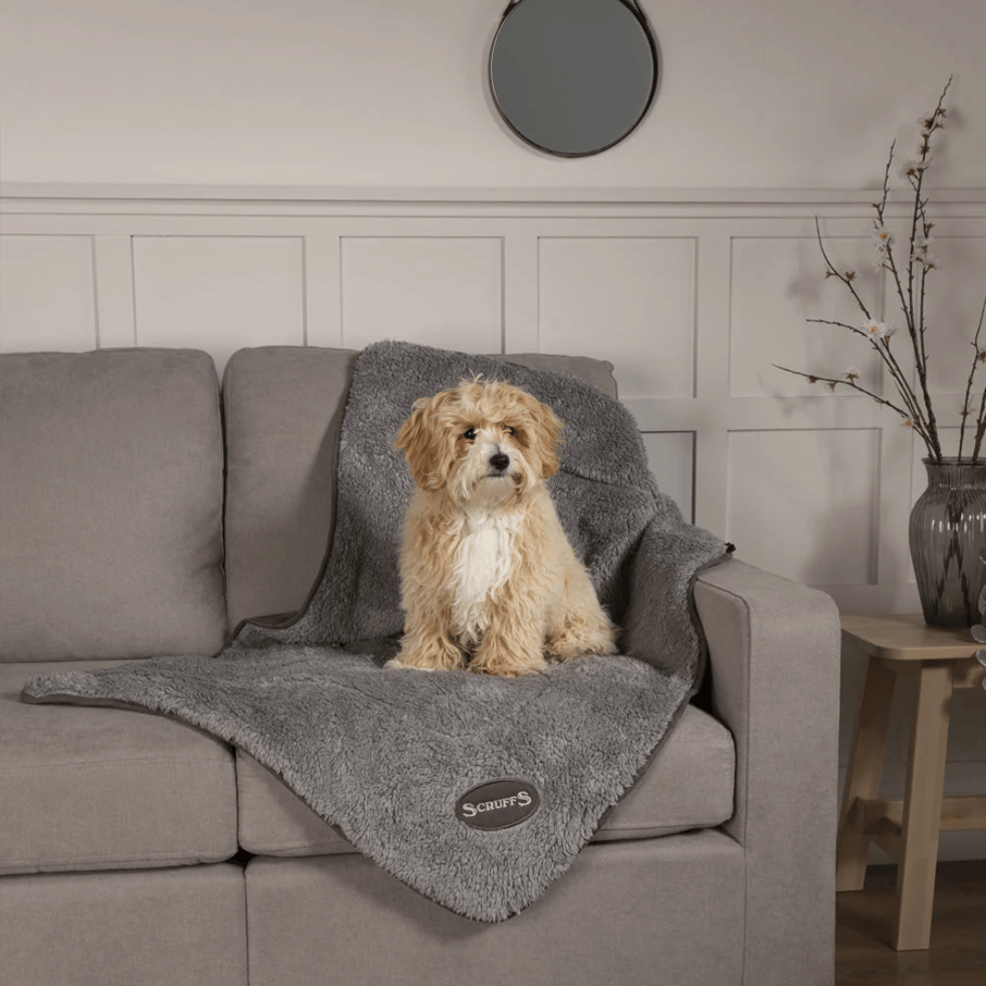 Scruffs Snuggle Pet Blanket