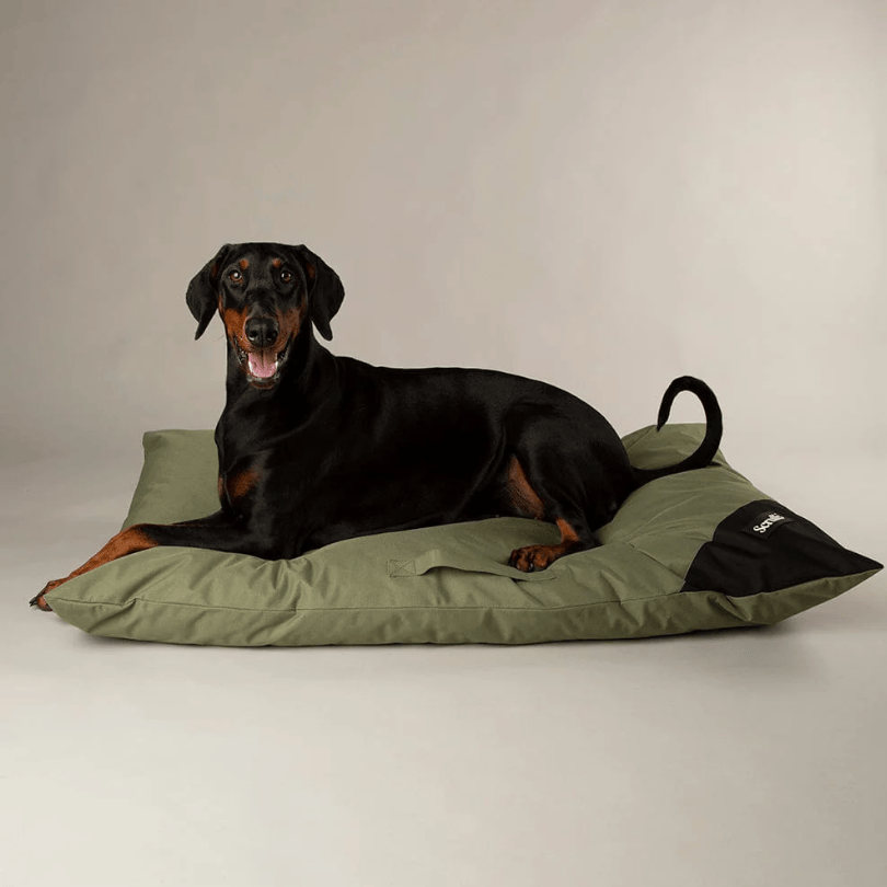 Black dog lying on a green Scruffs Expedition Orthopaedic Pillow for Dogs against a plain background
