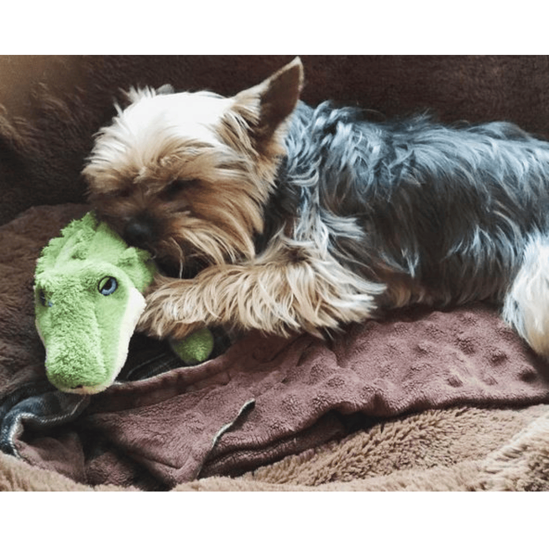 Fluff & Tuff Savannah Baby Gator Plush Dog Toy