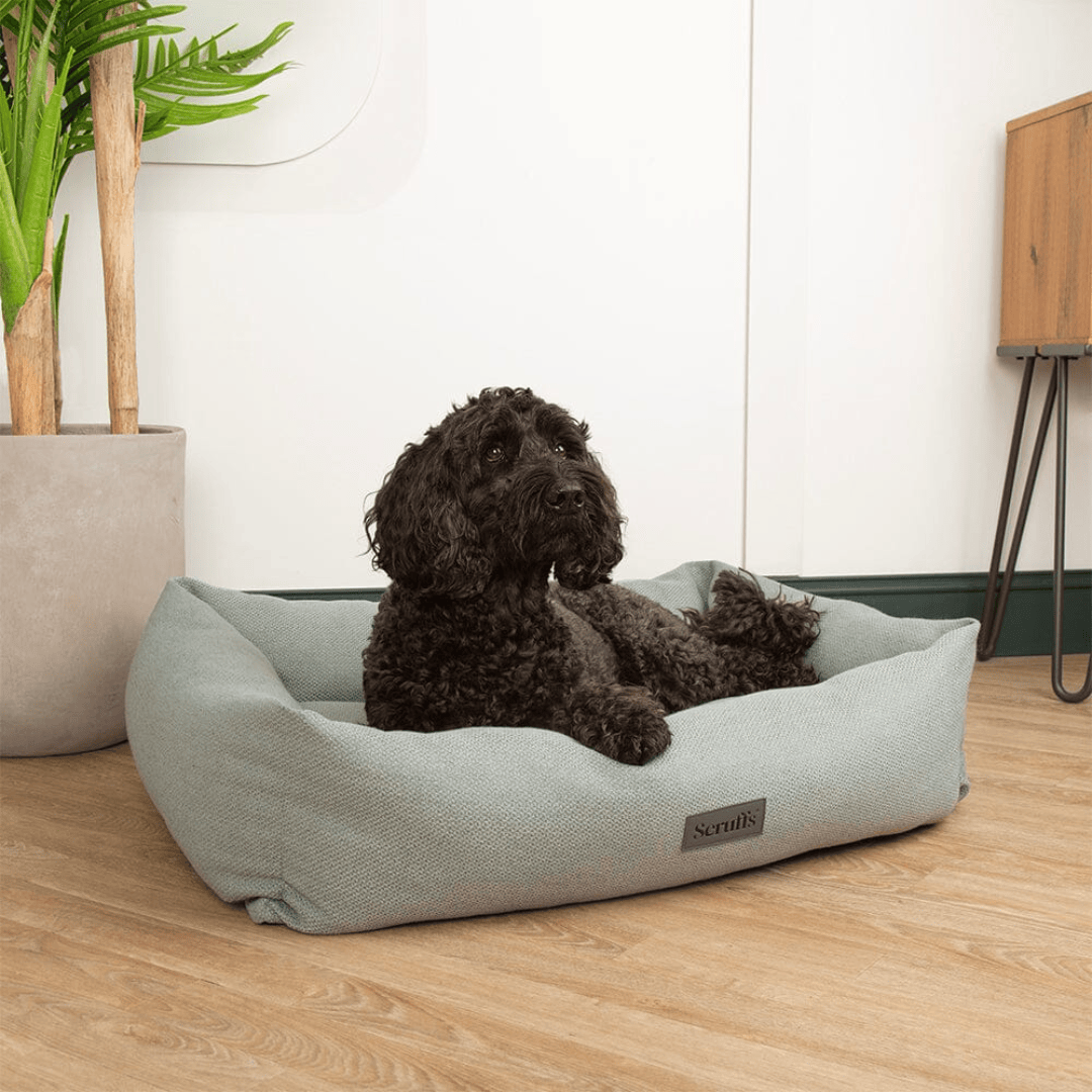 Scruffs Seattle Box Bed