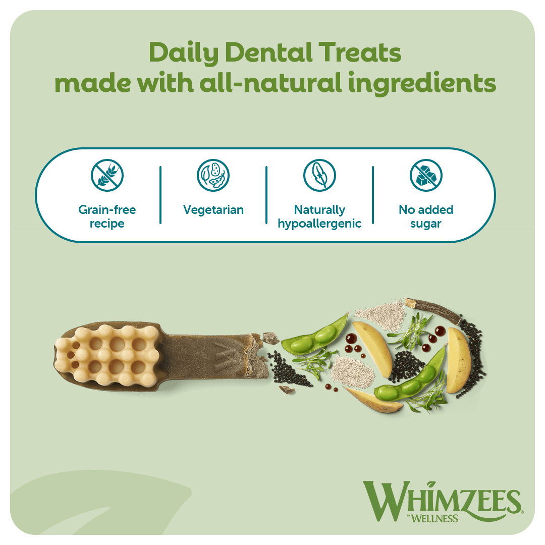 Whimzees Toothbrush