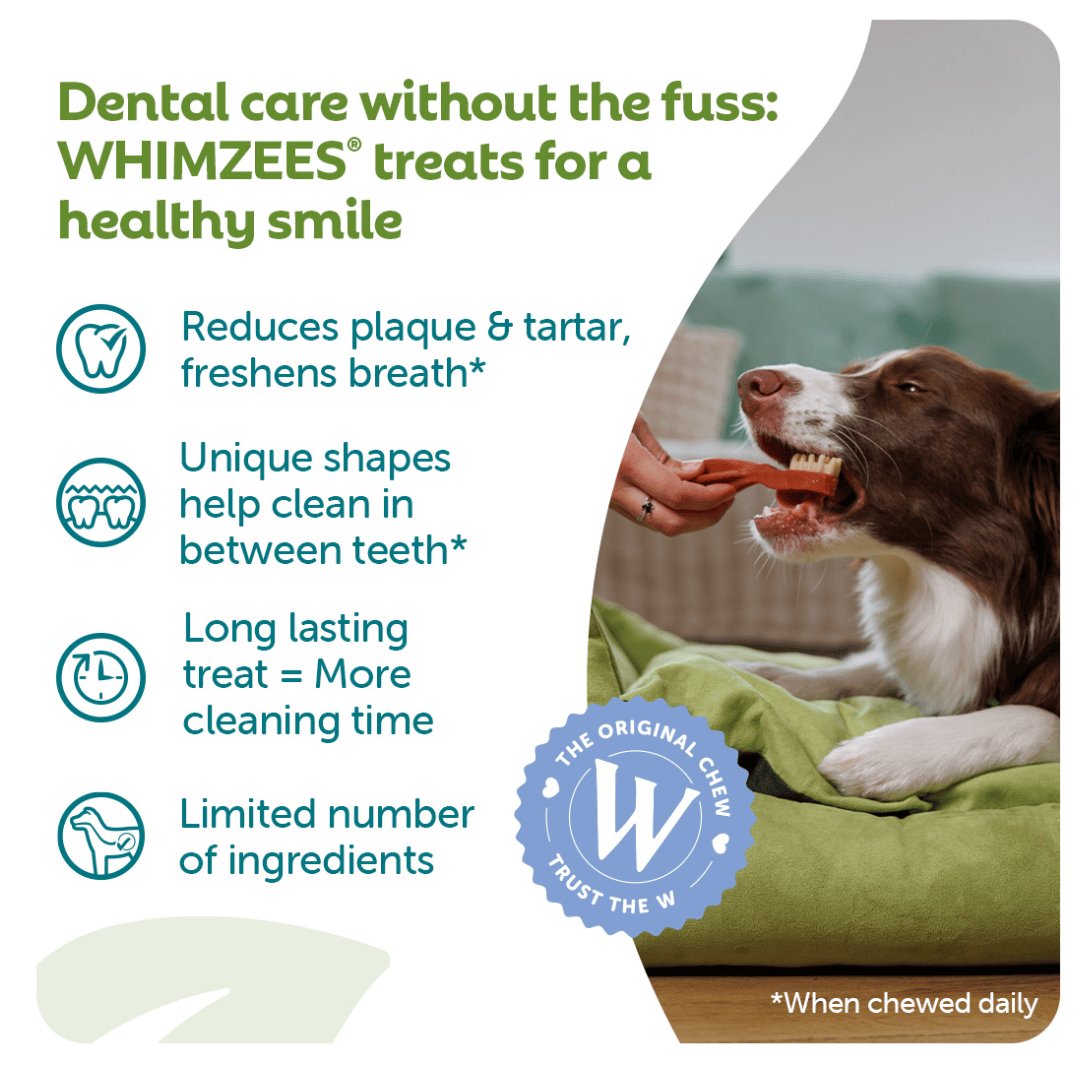 Whimzees Toothbrush
