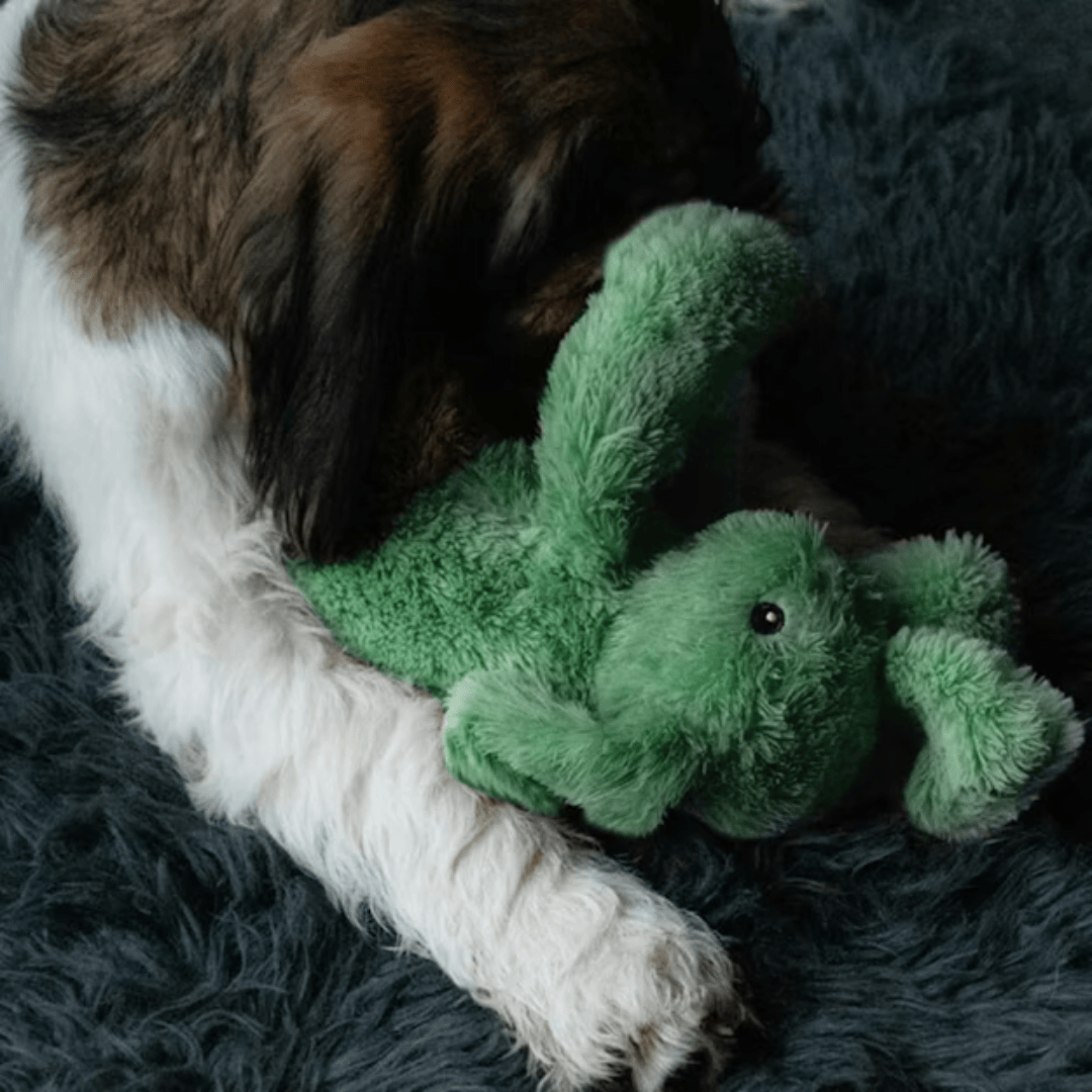 Cozy Dog Bunny Green
