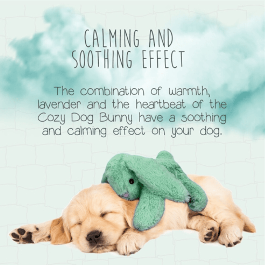 Cozy Dog Bunny Green