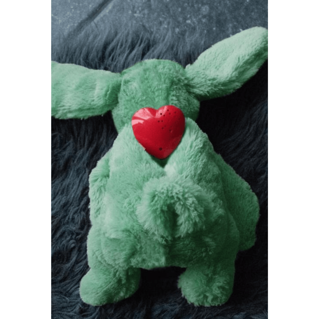 Cozy Dog Bunny Green