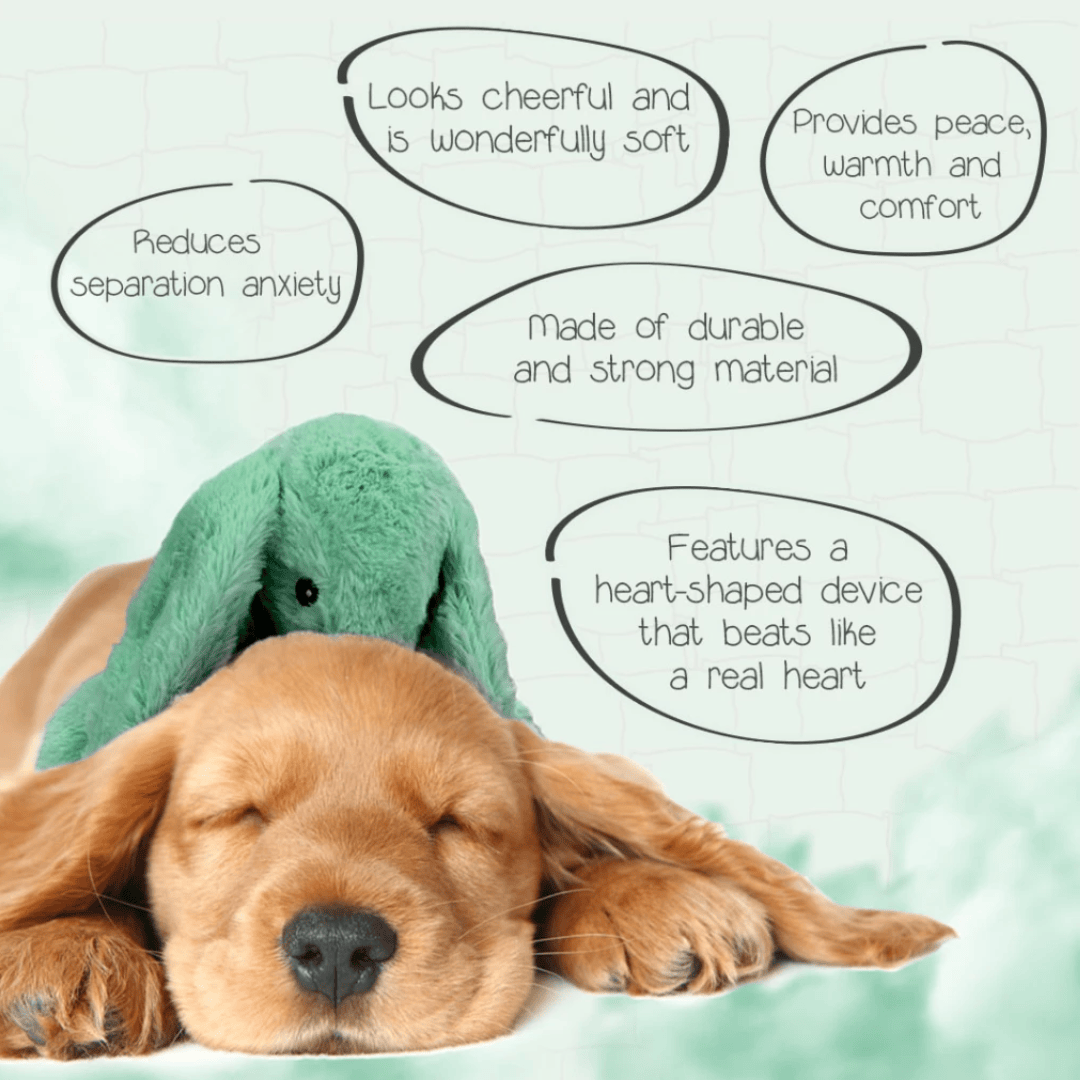 Cozy Dog Bunny Green
