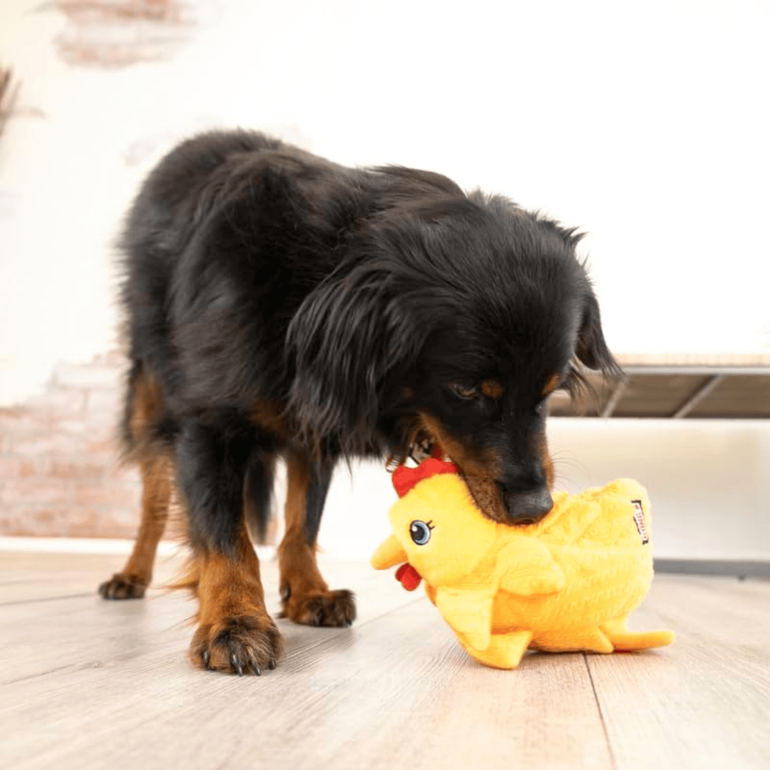 Kong Layerz Forage Hen