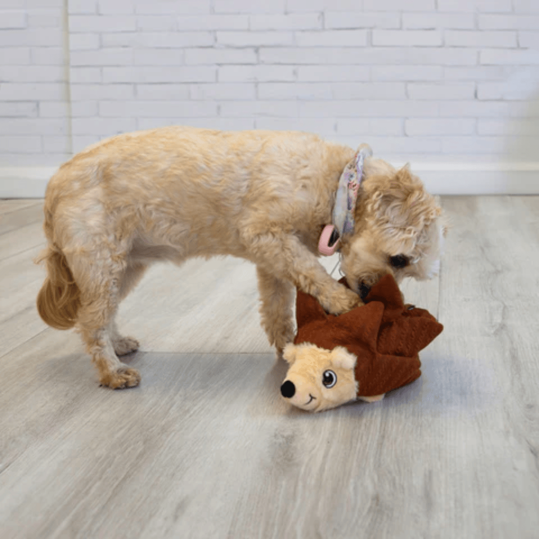 Kong Layerz Forage Hedgehog