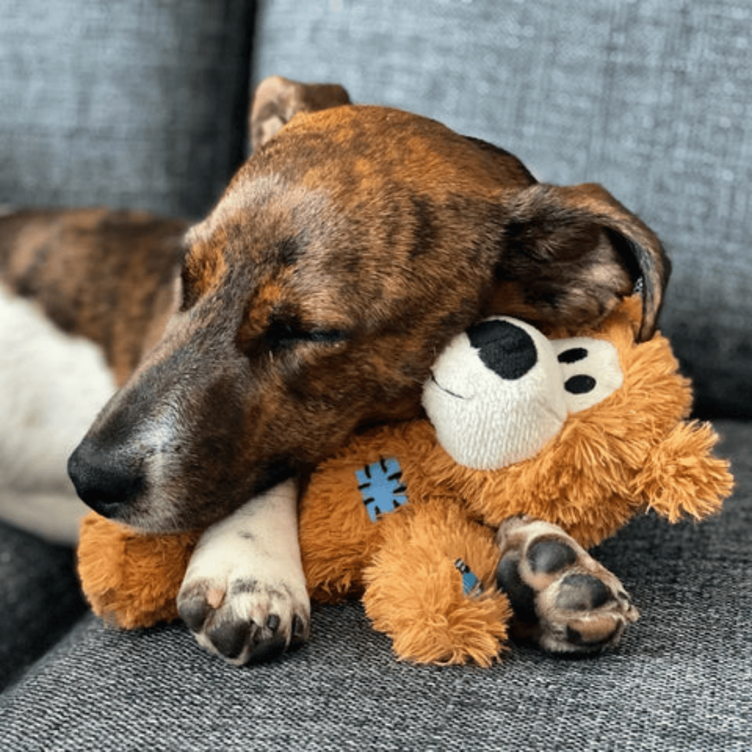Kong Wild Knots Bear