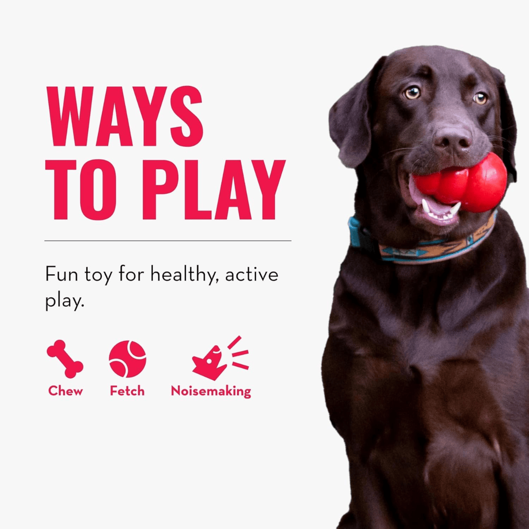 Kong Squeakair Tennis Balls