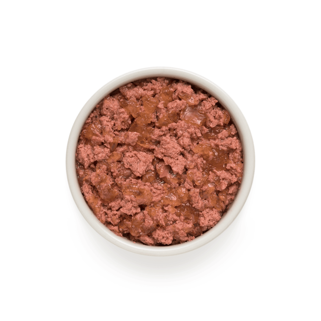 Grandorf Rabbit and Turkey Wet Food served in a white bowl