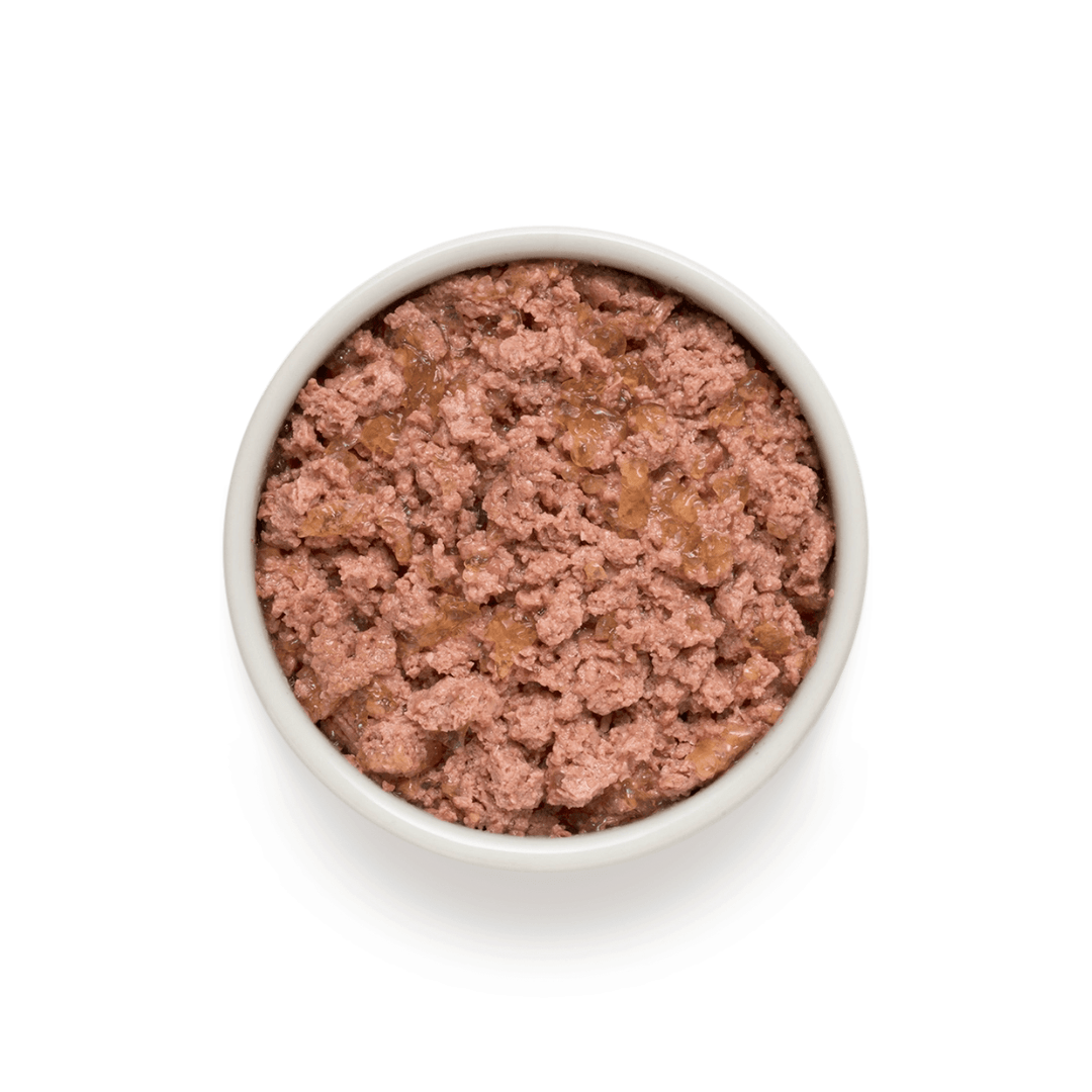 White bowl filled with Grandorf Lamb and Turkey Puppy food on a white background
