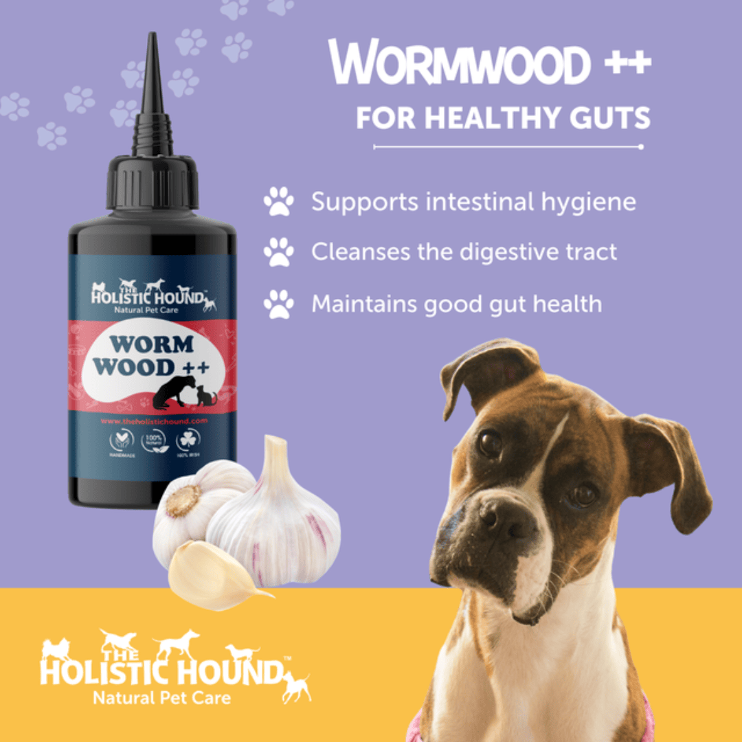 Natural Flea, Tick & Worm Care Pack