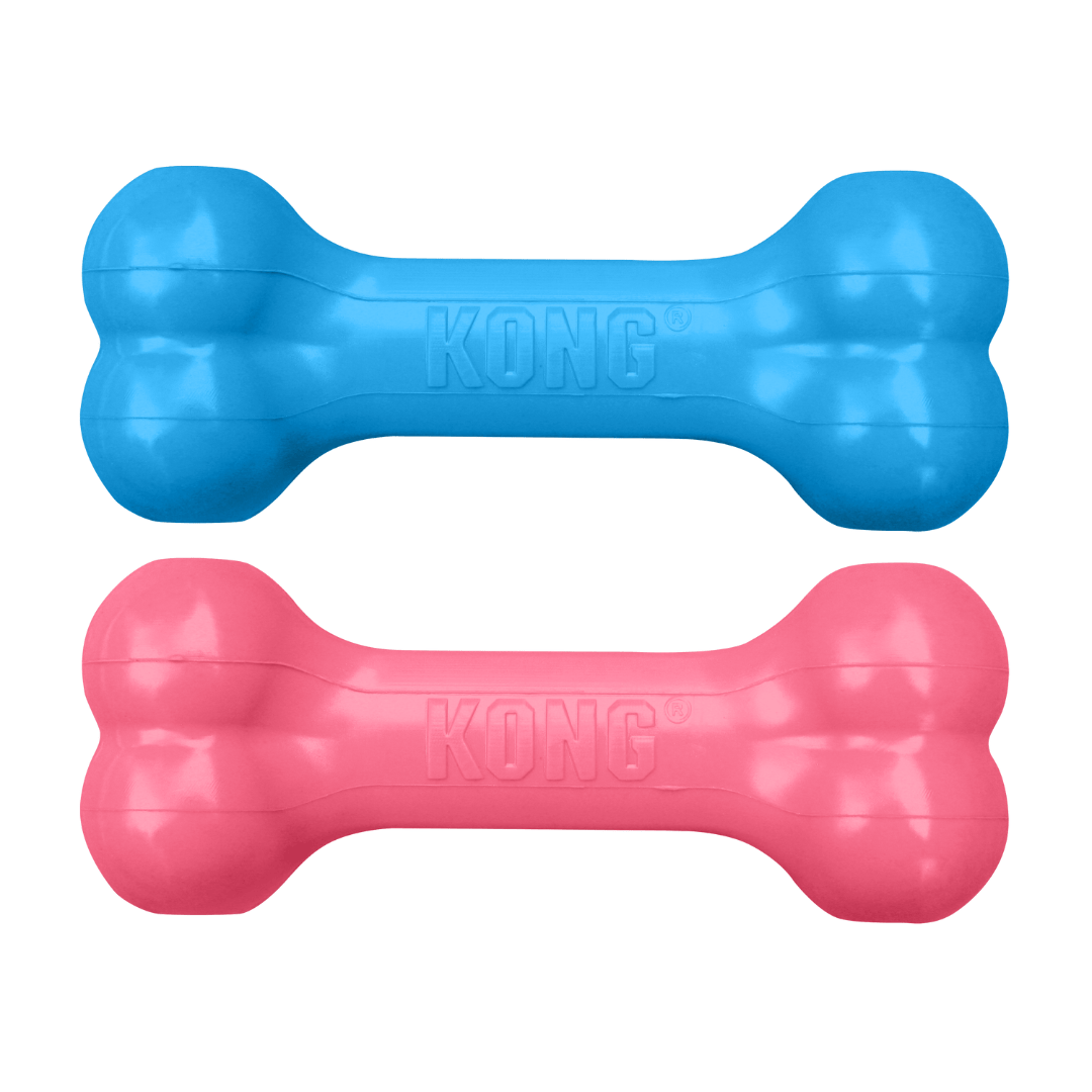 Kong Puppy Goodie Bone