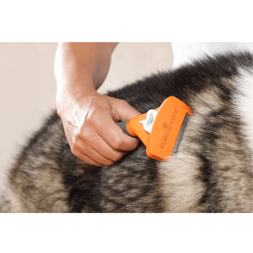 Furminator Pet Shedding Tool