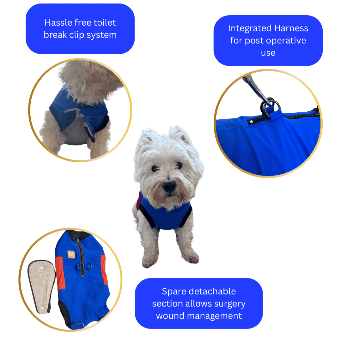 Petsuit Surgishield
