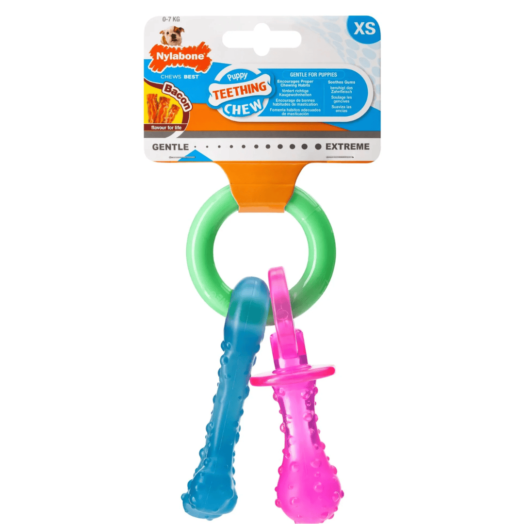 Nylabone Puppy Pacifier Teething Toy