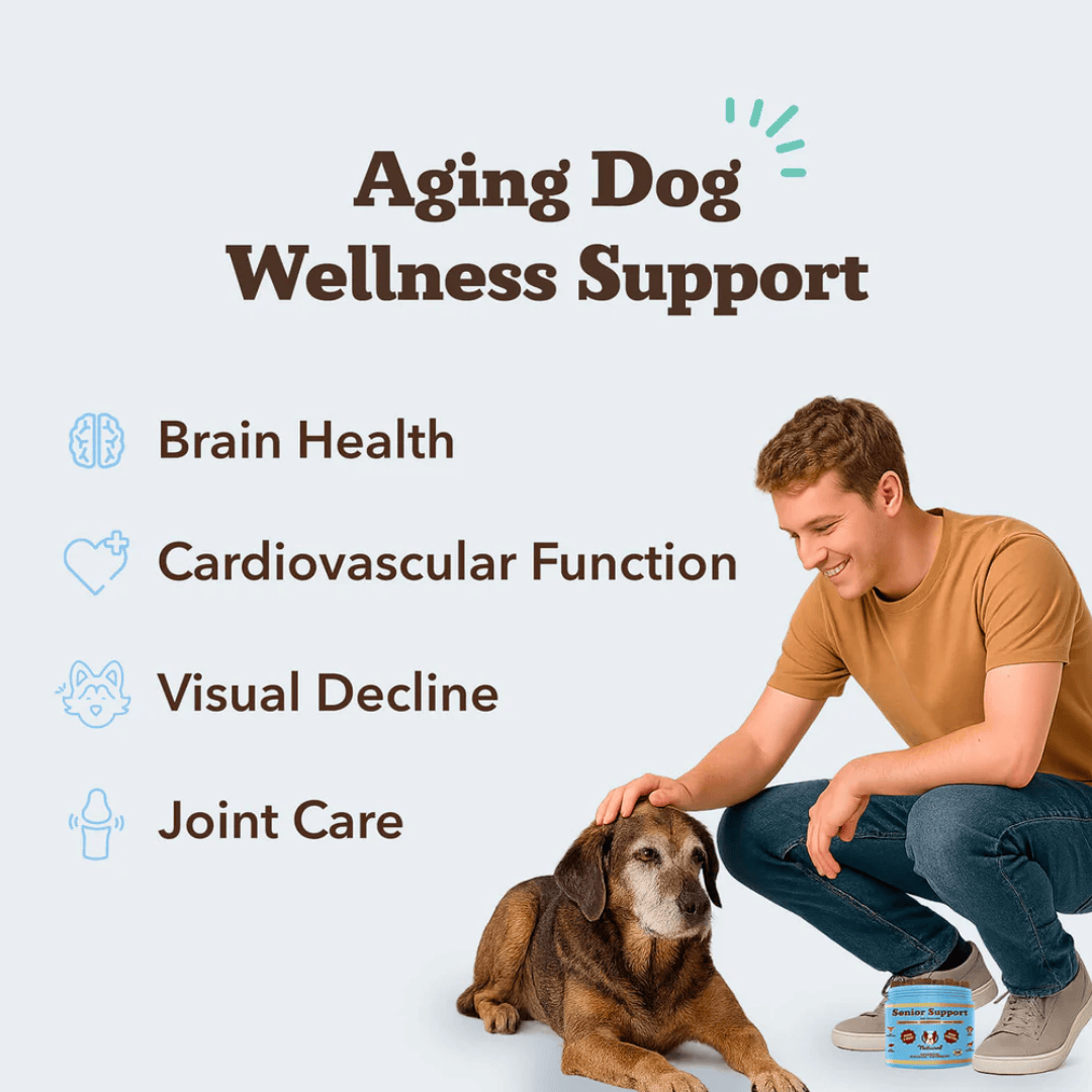 Natural Dog Company Senior Support Chews