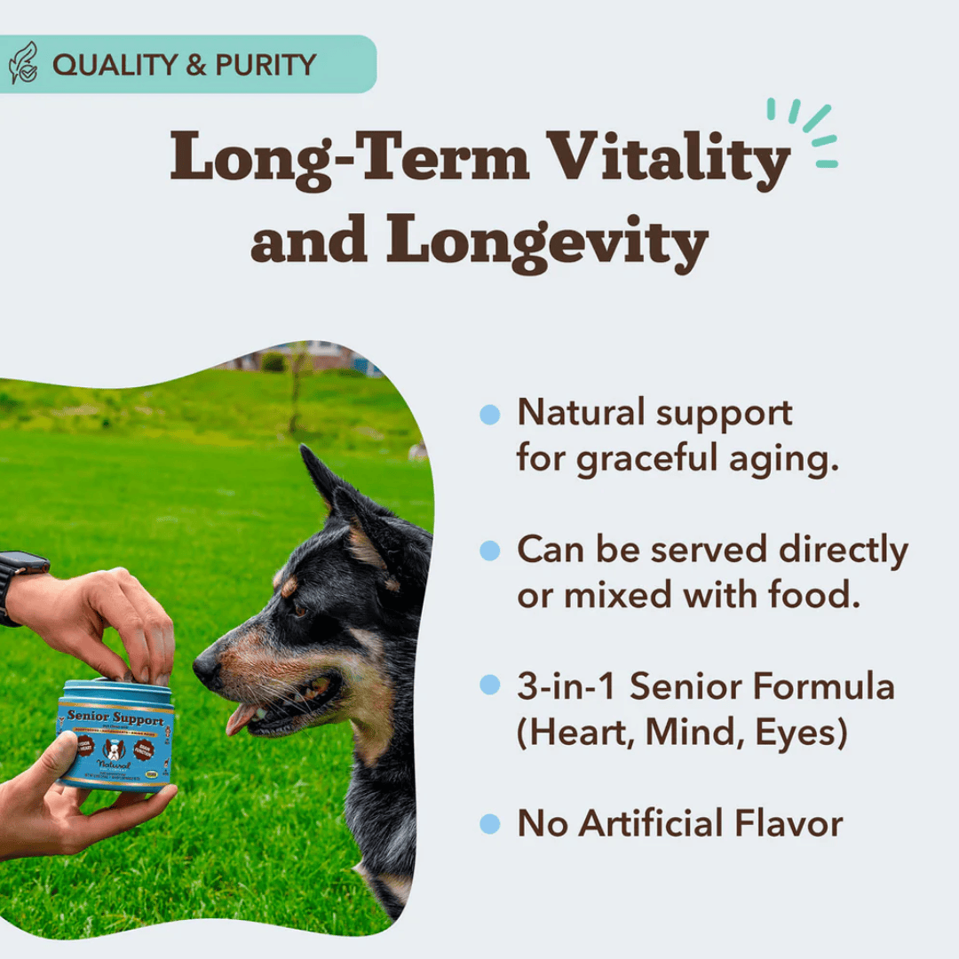 Natural Dog Company Senior Support Chews